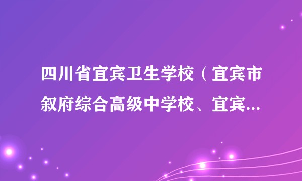 四川省宜宾卫生学校（宜宾市叙府综合高级中学校、宜宾市卫生干部进修学校）