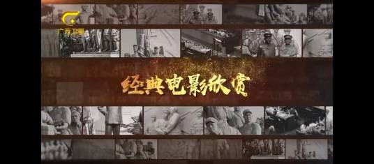 经典电影欣赏(广西卫视开设的一档电影节目)