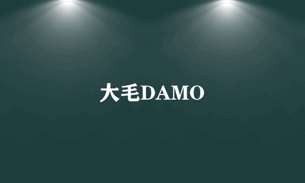 大毛DAMO