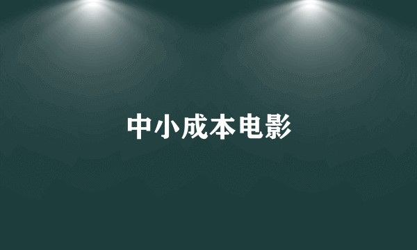 中小成本电影