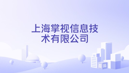 上海掌视信息技术有限公司