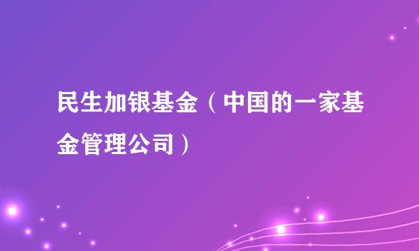 民生加银基金(中国的一家基金管理公司)