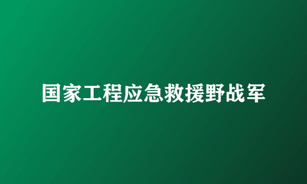 国家工程应急救援野战军