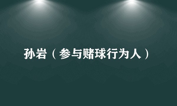 孙岩(参与赌球行为人)