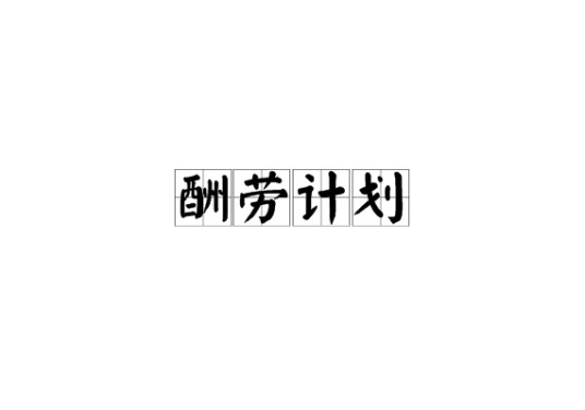 酬劳计划