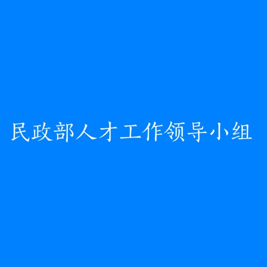 民政部人才工作领导小组
