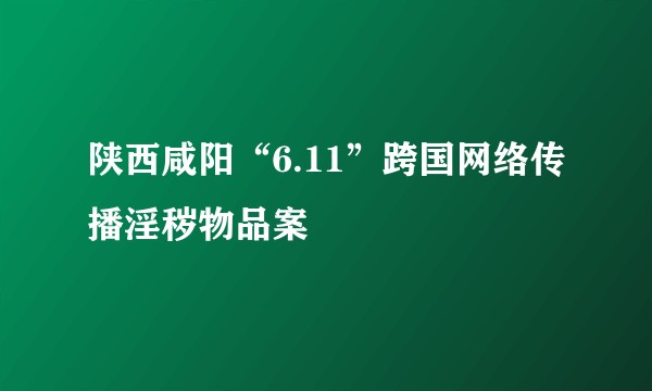 陕西咸阳“6.11”跨国网络传播淫秽物品案