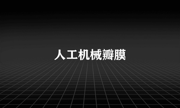 人工机械瓣膜