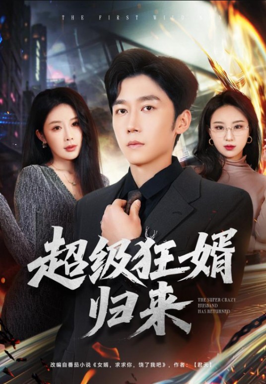 超级狂婿归来