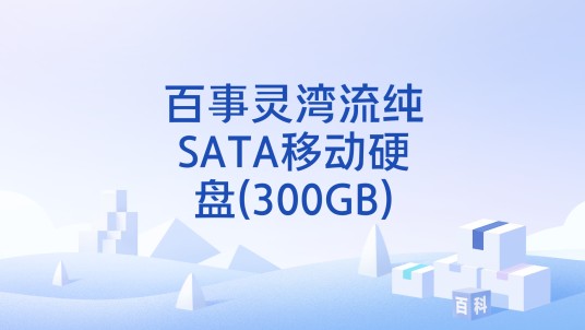 百事灵湾流纯SATA移动硬盘(300GB)