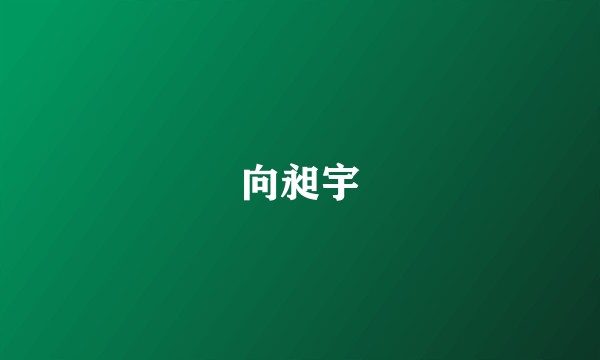 向昶宇