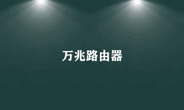 万兆路由器