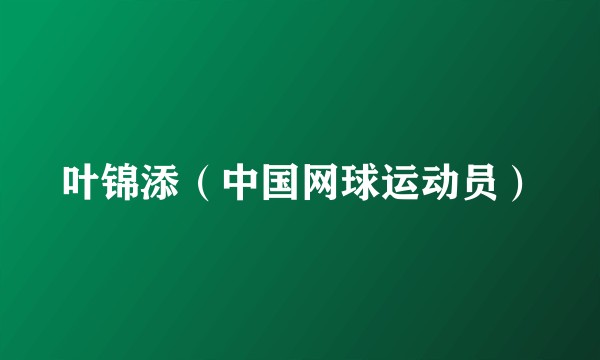 叶锦添（中国网球运动员）