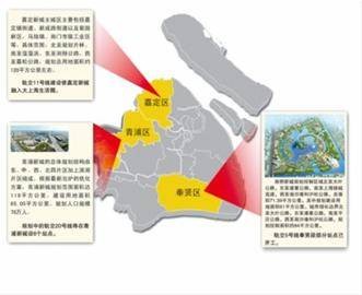 南桥上海之鱼