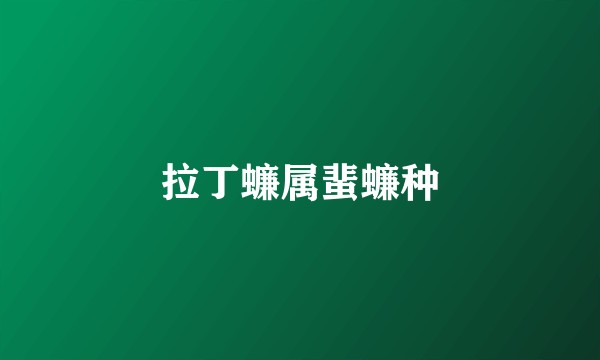 拉丁蠊属蜚蠊种