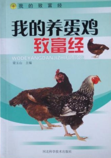 我的养蛋鸡致富经