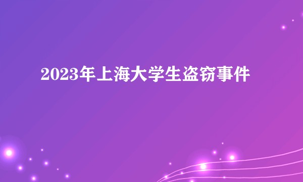 2023年上海大学生盗窃事件