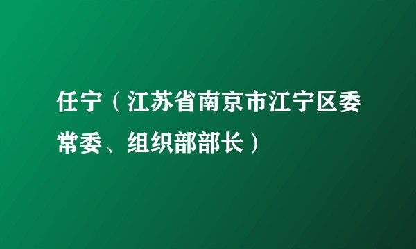 任宁（江苏省南京市江宁区委常委、组织部部长）