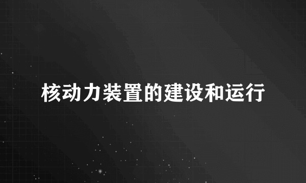 核动力装置的建设和运行