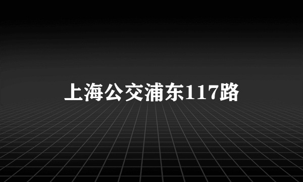 上海公交浦东117路