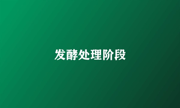 发酵处理阶段