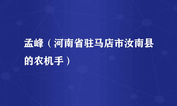 孟峰（河南省驻马店市汝南县的农机手）