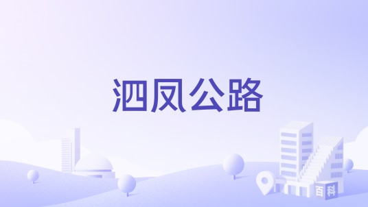 泗凤公路