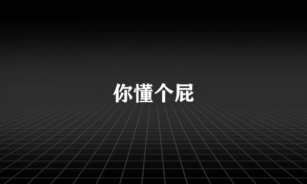 你懂个屁