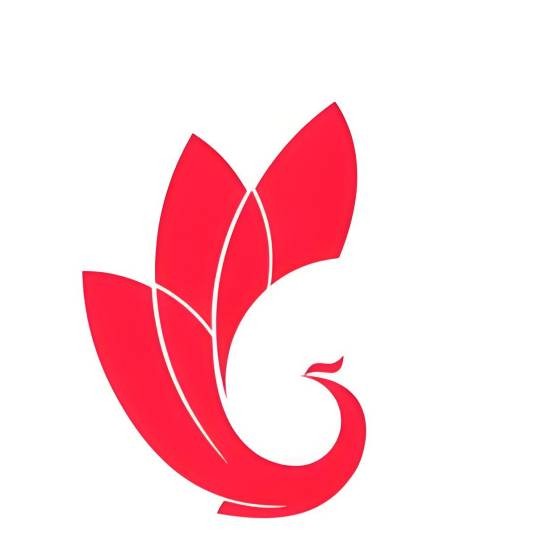 巅峰健身训练营