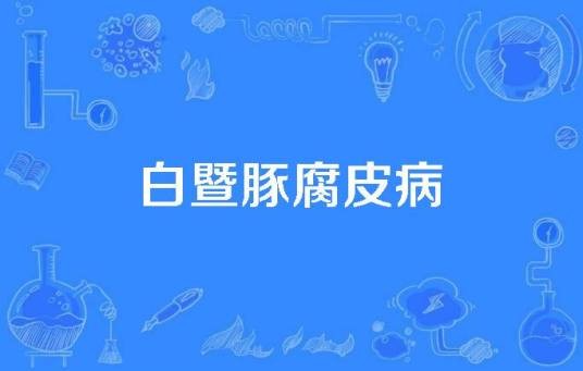 白暨豚腐皮病