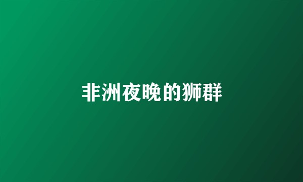 非洲夜晚的狮群