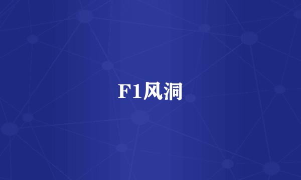 F1风洞