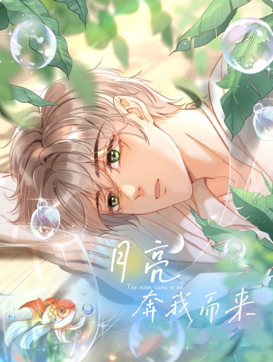 月亮奔我而来(泊岸边原著小说改编漫画)