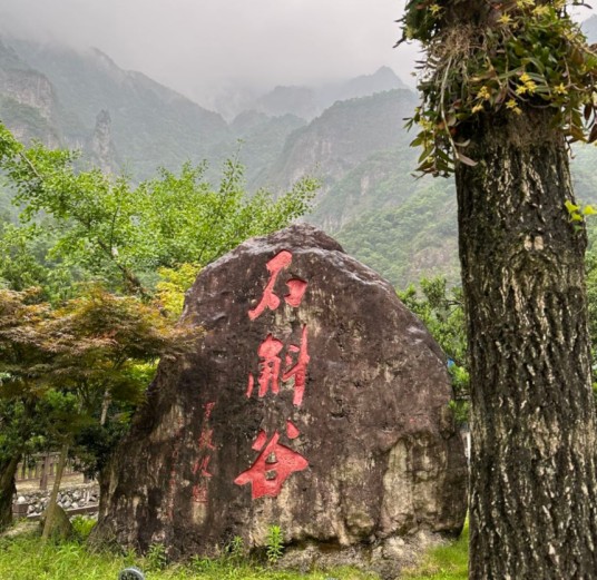 雁荡山石斛谷