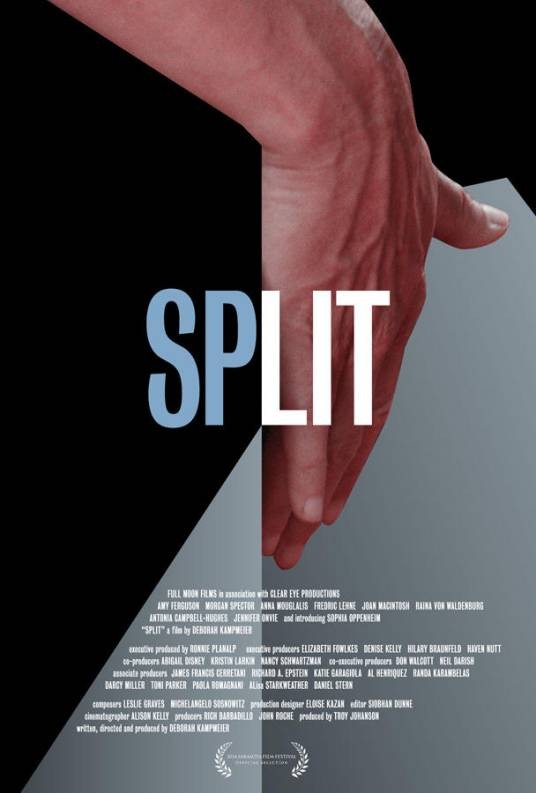 SPLIT（美国2016年戴宝拉·卡姆普梅尔执导电影）