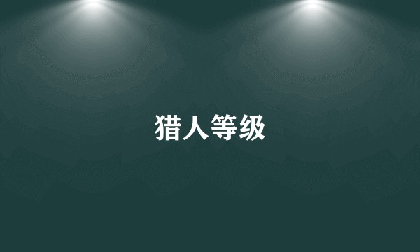 猎人等级