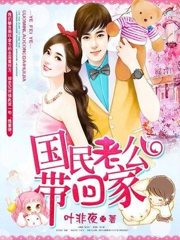 国民老公带回家（叶非夜创作的网络小说）
