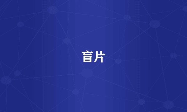盲片