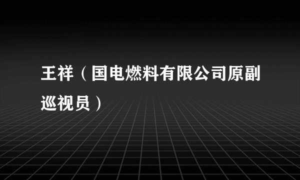 王祥（国电燃料有限公司原副巡视员）