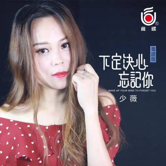 下定决心忘记你（少薇演唱的歌曲）