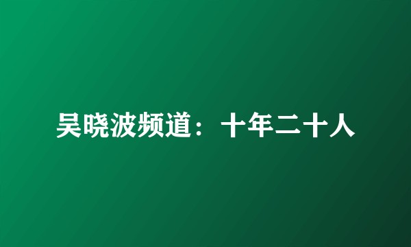 吴晓波频道：十年二十人