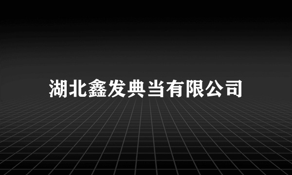 湖北鑫发典当有限公司