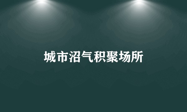 城市沼气积聚场所