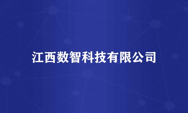 江西数智科技有限公司