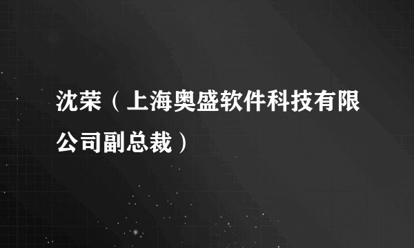 沈荣（上海奥盛软件科技有限公司副总裁）