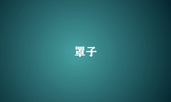 罩子