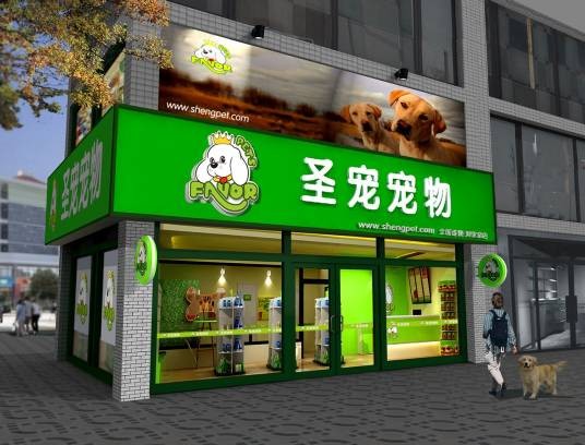 圣宠