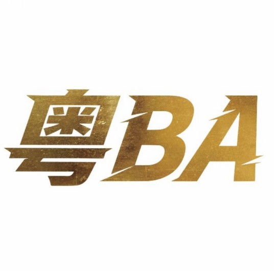 广东篮球—粤BA