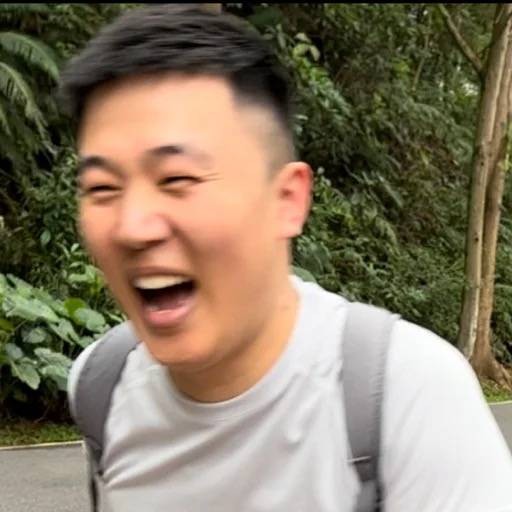 猛猛进