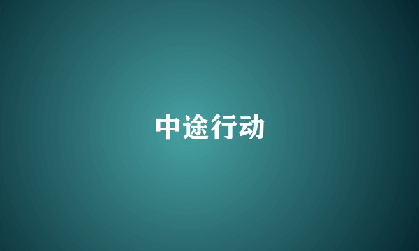 中途行动